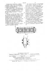 Носитель к бутылкомоечным машинам (патент 1204558)