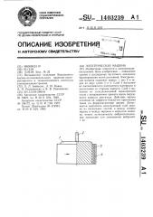 Электрическая машина (патент 1403239)
