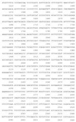 Рекомбинантная плазмида pesat6-cfp10-dbd, рекомбинантный штамм escherichia coli m15 [prep4, pesat6-cfp10-dbd], способ получения, иммобилизации, концентрирования и очистки рекомбинантного белка esat6-cfp10-dbd на декстране, рекомбинантный белок esat6-cfp10-dbd и иммуногенная композиция, содержащая белок esat6-cfp10-dbd (патент 2539026)