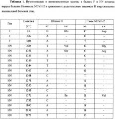 Штамм вируса болезни ньюкасла ndvh-2 для изучения возможности разработки на его основе вирусного онколитического препарата (патент 2644676)