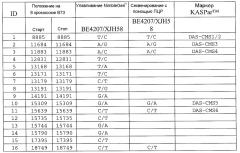 Ген-восстановитель rf4 для цитоплазматической мужской стерильности (cms) c-типа кукурузы, молекулярные маркеры и их применение (патент 2603005)