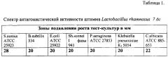 Штамм бактерий lactobacillus rhamnosus 7 дс, обладающий широким спектром антагонистической активности по отношению к патогенным и условно-патогенным микроорганизмам (патент 2627165)