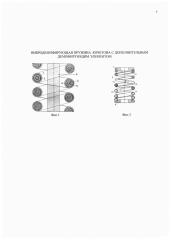 Вибродемпфирующая пружина кочетова с дополнительным демпфирующим элементом (патент 2640150)