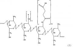Способ получения производного хитозана, обладающего амфифильными свойствами (патент 2548003)