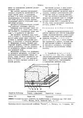Дренажно-распределительное устройство фильтра для очистки воды (патент 1636014)