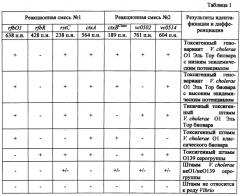 Способ одновременной идентификации токсигенных штаммов геновариантов возбудителя холеры эль тор и их дифференциации по эпидемическому потенциалу методом мультиплексной полимеразной цепной реакции (патент 2560280)