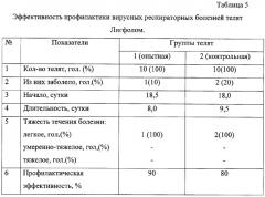 Способ иммунопрофилактики вирусных респираторных болезней телят (патент 2287992)