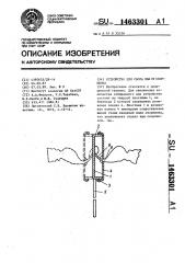 Устройство для сбора яда от скорпиона (патент 1463301)