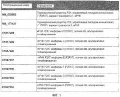 Способы и композиции для ингибирования экспрессии рецептора p2х7 (патент 2410430)