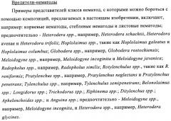 Пестицидная композиция и способ обработки семян (патент 2427133)