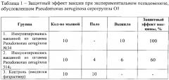 Штамм бактерий pseudomonas aeruginosa для изготовления вакцины против псевдомоноза свиней (патент 2553553)