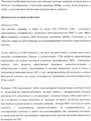 Экспонирование т-клеточных рецепторов (патент 2346004)