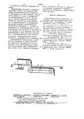 Весоизмерительное устройство (патент 976301)