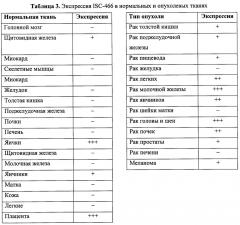 Идентификация опухолеассоциированных антигенов для диагностики и терапии (патент 2644686)