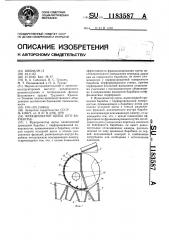 Фракционатор щепы (его варианты) (патент 1183587)