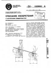 Способ внесения удобрений при посадке саженцев (патент 1020041)