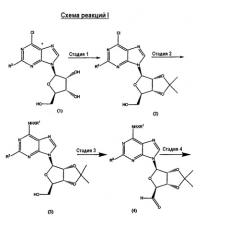 Частичные и полные агонисты аденозиновых рецепторов a 1 (патент 2340623)