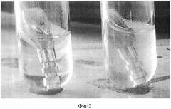 Способ микробиологической оценки плотности соединительных узлов дентальных имплантатов и зубных протезов (патент 2570289)