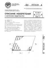 Нагревательная плита (патент 1073124)