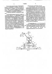 Сортировщик корнеклубнеплодов (патент 1732843)