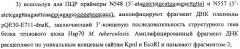 Способ получения белка e7-hsp70 и штамм дрожжей saccharomyces cerevisiae для его осуществления (патент 2489481)