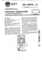 Сдвоенный сегментный затвор (патент 1198150)