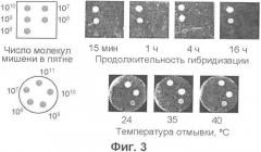 Обнаружение молекулярных колоний посредством гибридизации на мембранах с флуоресцентными зондами (патент 2338787)