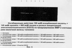 Композиция, ингибирующая матричные металлопротеиназы, предназначенная для лечения неопластических болезней (патент 2284185)