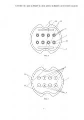 Устройство для формирования двухслойной клеточной модели (патент 2668157)