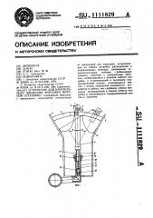 Устройство для качательного движения форсунки моечной установки (патент 1111829)