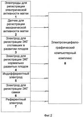 Способ оценки функционального состояния самки кролика и ее плодов на фоне индуцированных сокращений матки в хроническом опыте (патент 2472229)