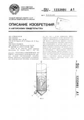 Тепломассообменный аппарат (патент 1233891)