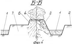 Способ возделывания овощных культур в открытом грунте при поливе по бороздам (патент 2316922)