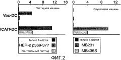 Система и способ получения и хранения активированных зрелых дендритных клеток (патент 2575978)