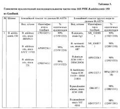 Штаммы bifidobacterium adolescentis 150 и bifidobacterium angulatum gt 102, синтезирующие гамма-аминомасляную кислоту (патент 2614110)