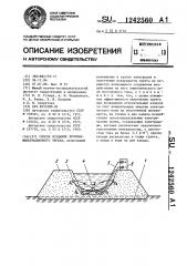 Способ создания противофильтрационного экрана (патент 1242560)