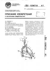 Копач для корнеплодов (патент 1256710)