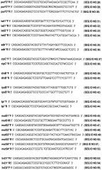 Способ генетической паспортизации штаммов bacillus thuringiensis с помощью проведения мультиплексного экспресс-анализа референтных последовательностей днк (патент 2627178)