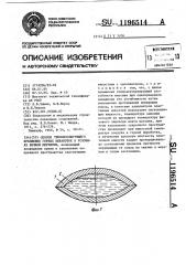 Способ теплоизолирующего крепления горных выработок в условиях вечной мерзлоты (патент 1196514)