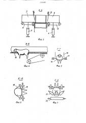 Устройство для подачи, фиксации и ориентирования животных вверх ножками при зооветеринарных обработках (патент 1576089)