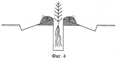 Универсальное почвообрабатывающее орудие (патент 2508619)