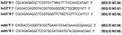 Способ генетической паспортизации штаммов bacillus thuringiensis с помощью проведения мультиплексного экспресс-анализа референтных последовательностей днк (патент 2627178)