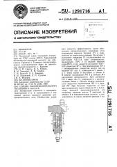 Секция распределительного топливного насоса (патент 1291716)