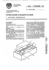 Монолитный акустоэлектрический конвольвер (патент 1732430)