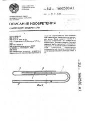 Зонд (патент 1662580)