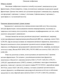 Способ получения l-аминокислот с использованием бактерии, принадлежащей к роду escherichia (патент 2312893)