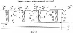 Способ мелиорации и повышения плодородия почвы и система для его реализации (патент 2402197)
