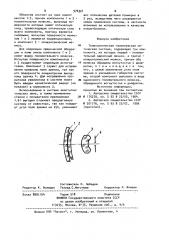 Телескопическая галилеевская оптическая система (патент 974321)