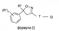 Твердые фармацевтические композиции для перорального введения на основе изоксазолиновых соединений (патент 2646483)