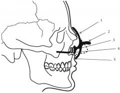 Устройство для получения функционального оттиска для изготовления протеза носа (патент 2625645)